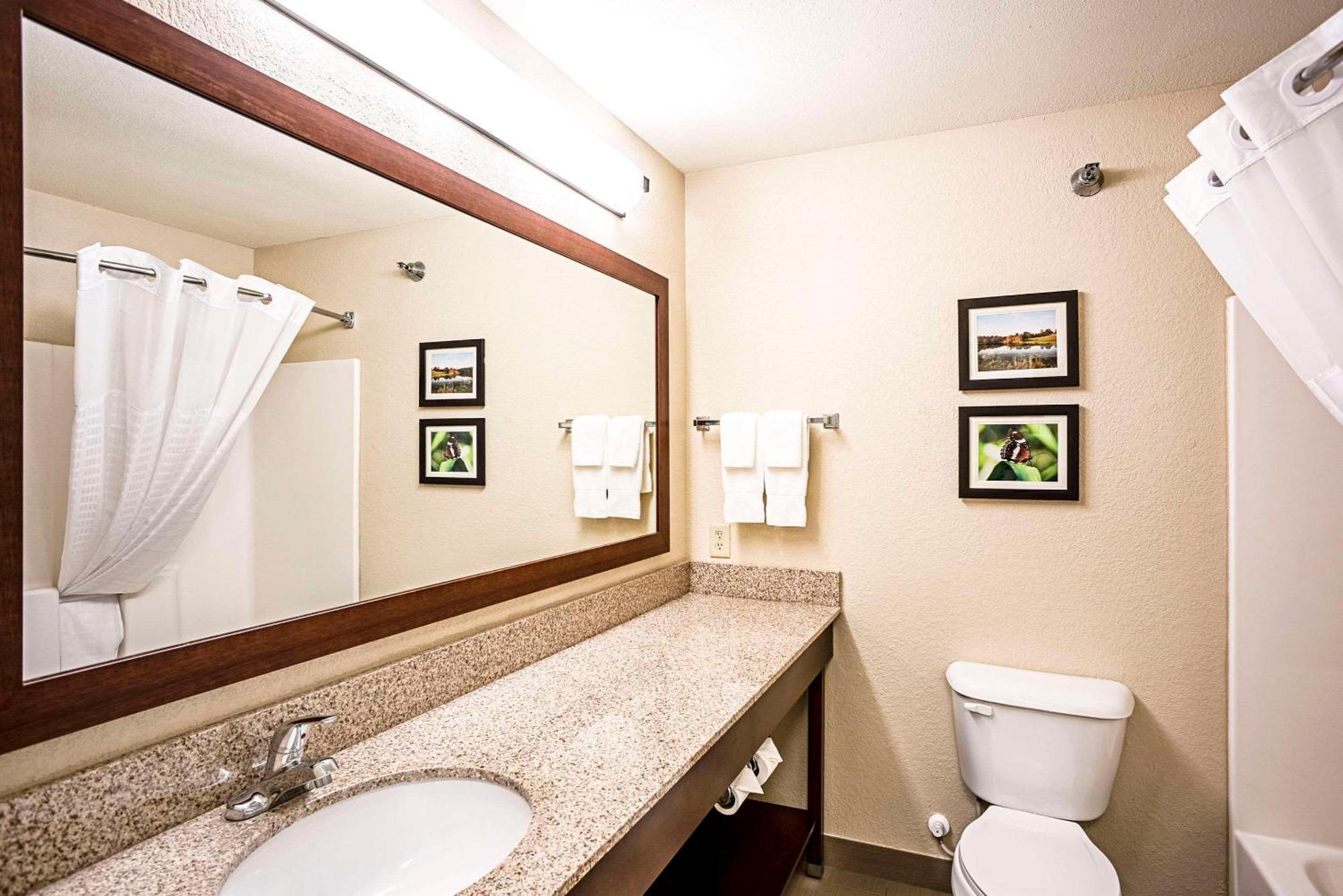 Comfort Inn&Suites Independence Buitenkant foto